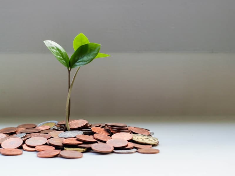 Seedling growing from coins representing savings